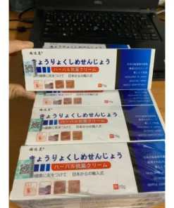 Kem thảo dược bôi viêm da cớ địa nấm ngứa vẩy nến á sừng 8 kemboinhat2