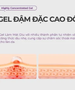 Gel Bôi Trĩ Kreain Nature Hỗ Trợ Giảm Ngứa Rát, Khô Thoáng Vùng Da Nhạy Cảm, Gel Thảo Mộc Làm Dịu Sưng Nóng Hiệu Quả 20g 19 ranboitri5
