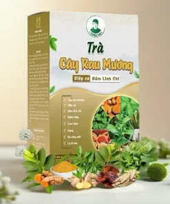 TRÀ CÂY RAU MƯƠNG CHÍNH HÃNG 1 HỘP 17 raumuong7 1