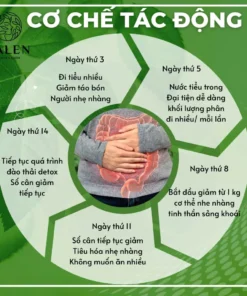 Alternative view of Trà detox 14 ngày Calen giúp đào thải cạn bã tạp chất, chuyển hóa năng lượng và mỡ thừa, giúp giảm táo bón, nhuận tràng