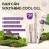 Thảo Dược Bôi Trĩ KREAIN NATURE – Kem Dịu Trĩ KREAIN Giảm Đau Rát, Dịu Sưng Đau