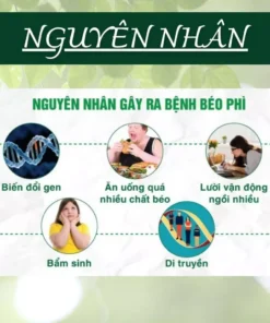 Alternative view of Trà Detox Thải Mỡ Giảm Cân - Lang Tị - Thải Mỡ Bụng, Mỡ Thành Mạch, Mỡ Nội Tạng, Đốt Mỡ - Túi 50 lọc