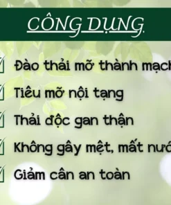 langti4