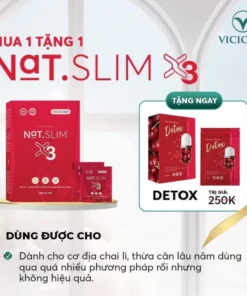 natslim3