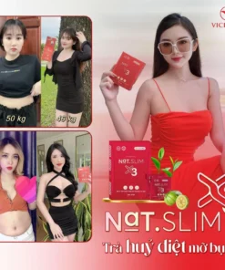 natslim4