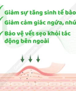 seoloi4