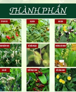 trathaidocgan3