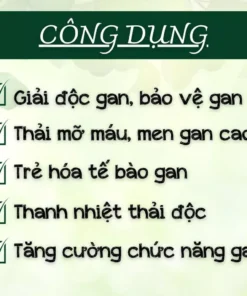 trathaidocgan4