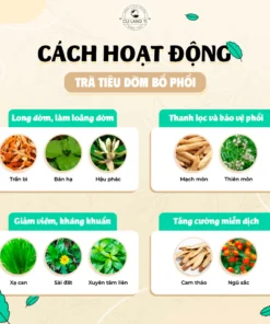 Alternative view of Trà Tiêu Đờm Bổ Phổi - Giảm Tiết Đờm, Giảm Ho Khạc, Bảo Vệ Phổi - Kha Tử, Trần Bì, Mạch Môn, Xuyên Tâm Liên - 50 Lọc