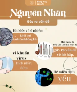 tratieudom8